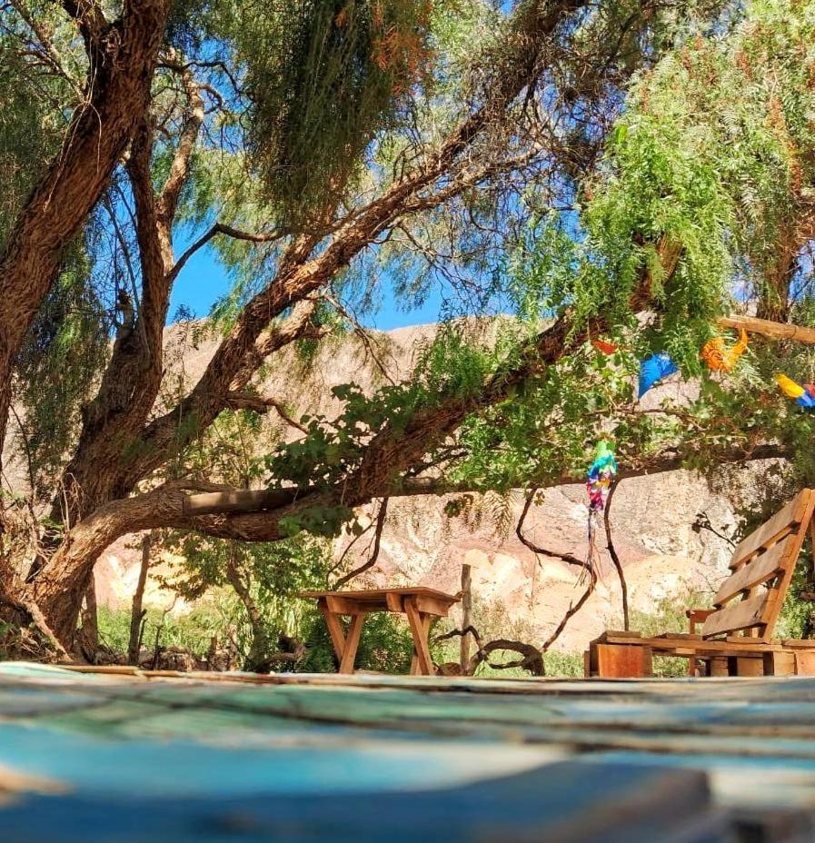 Cabanas Apu Maimará Dış mekan fotoğraf