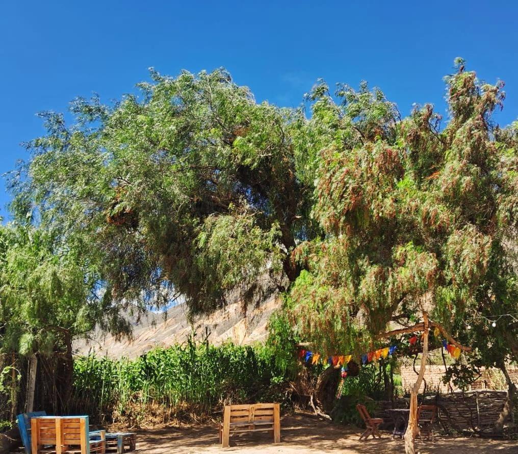 Cabanas Apu Maimará Dış mekan fotoğraf