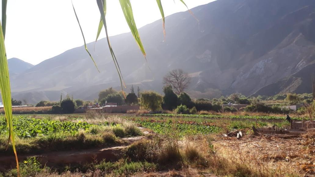 Cabanas Apu Maimará Dış mekan fotoğraf
